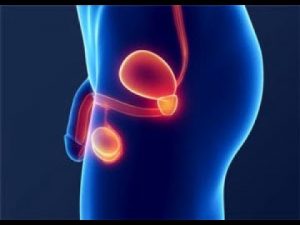 bărbăție și prostatita cauzele aparitiei adenomului de prostata